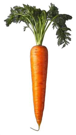 Imagen PNG para descargar